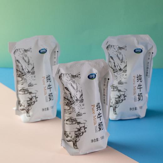 冰川祁牧爱克林纯牛奶（180ml*16袋） 商品图6