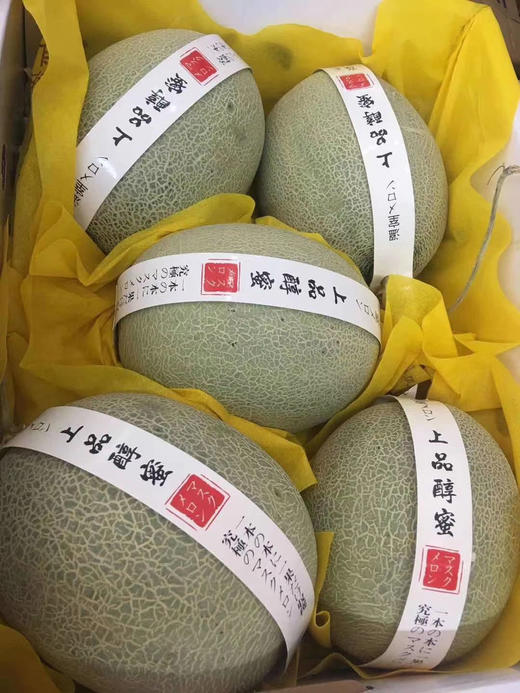 宏丰精选产地直发醇蜜瓜绿肉口感绵甜如蜜