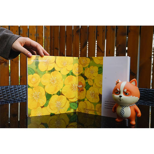 成功的聪明人太多了，我必须为笨蛋争口气！（书单来了小编书单狗出书啦！解压神书，贱萌来袭！看书单狗为笨蛋争口气！）  商品图8