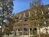 【云游日本】欢迎来到东京～～表参道＆青山自行车之旅～～ 商品缩略图2