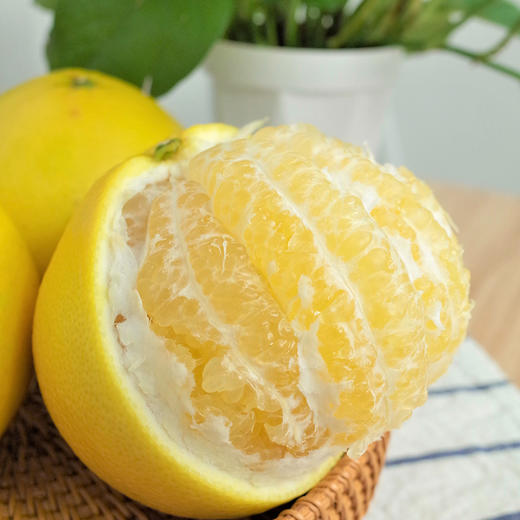 【汁水炮弹】黄金葡萄柚 清甜爆汁 柚香四溢 皮薄肉嫩 享受多汁秘诀 商品图6