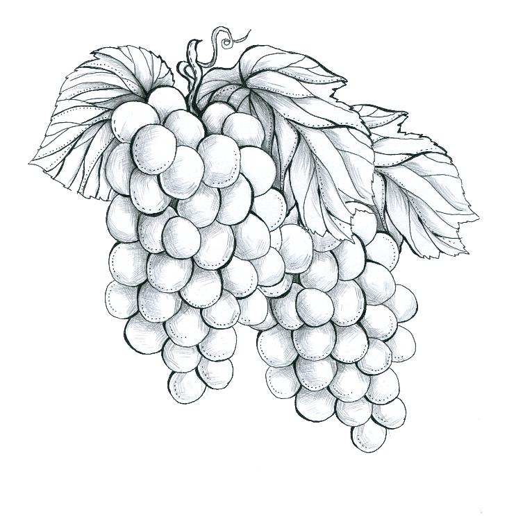 南园优选240318250503250801