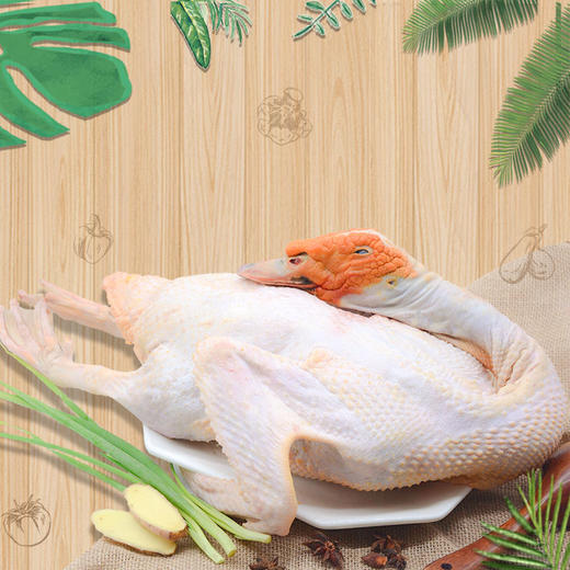 地标产品-黑番鸭 散养土公鸭 商品图1