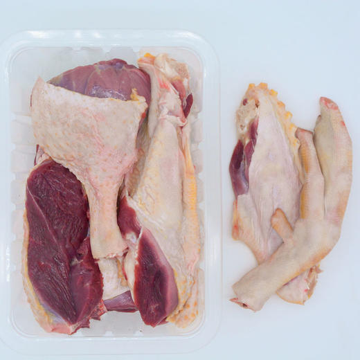 红鼻白番鸭 商品图2