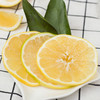 【汁水炮弹】黄金葡萄柚 清甜爆汁 柚香四溢 皮薄肉嫩 享受多汁秘诀 商品缩略图7