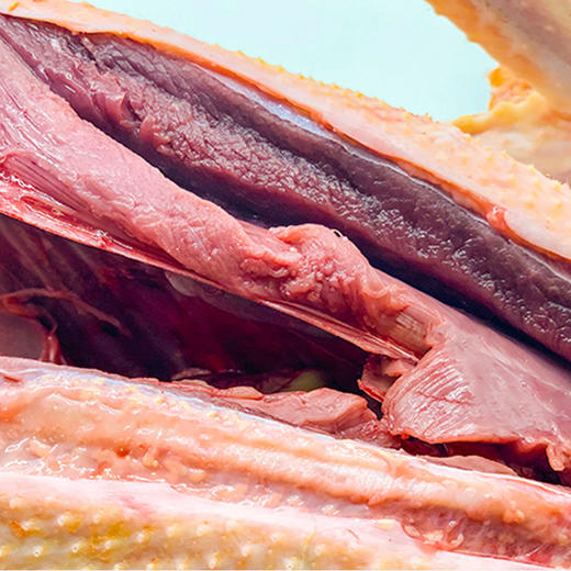 地标产品-黑番鸭 散养土公鸭 商品图3