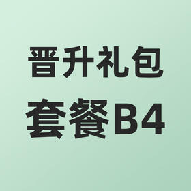 女王代理晋升礼包套餐B4