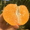【果汁瀑布】爱媛38号 网红果冻橙 Q弹爽滑 可以直接喝的橙子 皮薄如橘 无籽化渣 顺丰包邮 商品缩略图2