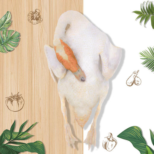 地标产品-黑番鸭 散养土公鸭 商品图2