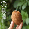 绿蜜猕猴桃 商品缩略图0