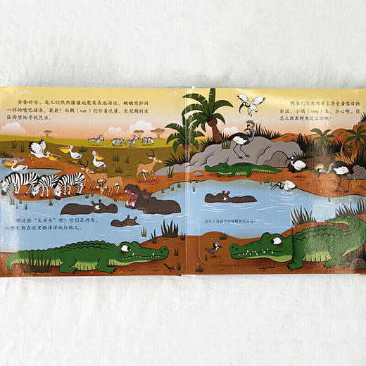 揭秘草原动物 商品图1