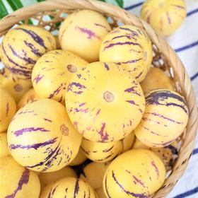 【神秘“大水球”】云南人参果 清甜解渴 无核饱满 享受低糖爆汁的魅力