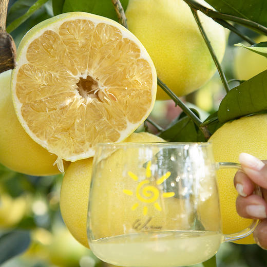 【汁水炮弹】黄金葡萄柚 清甜爆汁 柚香四溢 皮薄肉嫩 享受多汁秘诀 商品图10