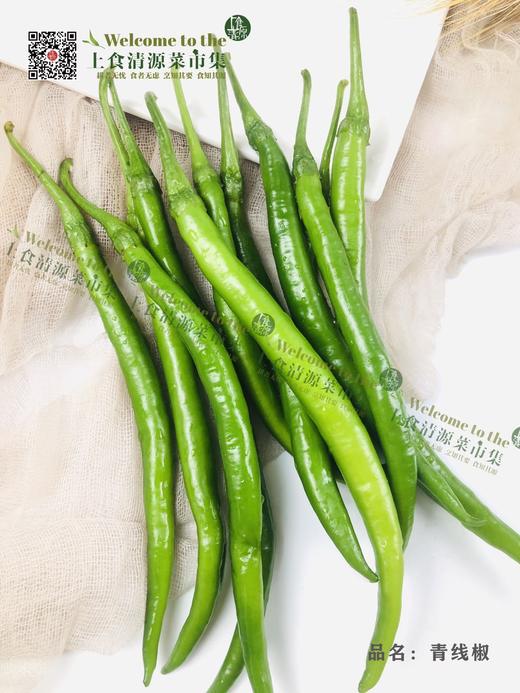 青线椒7.5元每斤