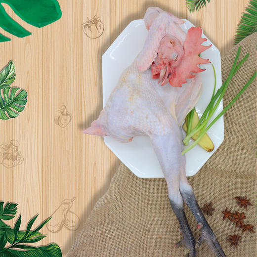 黑凤凰 散养土鸡 商品图1