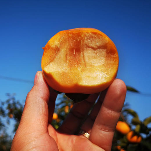脆甜柿子 商品图1