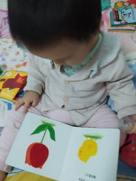 《小鸡起球触感玩具书》：多种不同触感，有效的锻炼宝宝的触觉