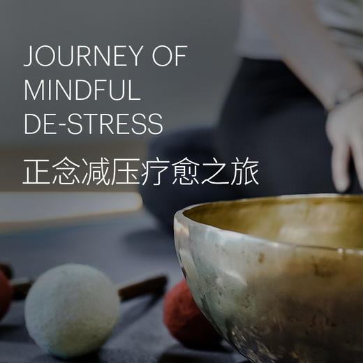 正念减压疗愈之旅（12月） 商品图0