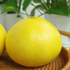 【汁水炮弹】黄金葡萄柚 清甜爆汁 柚香四溢 皮薄肉嫩 享受多汁秘诀 商品缩略图3