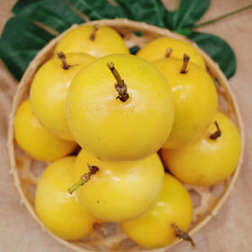 【香气炸弹】武平黄金百香果 果肉饱满 香甜多汁 芭乐味 不加蜂蜜直接吃！现摘现发