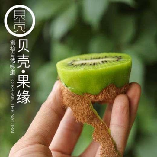 绿蜜猕猴桃 商品图1