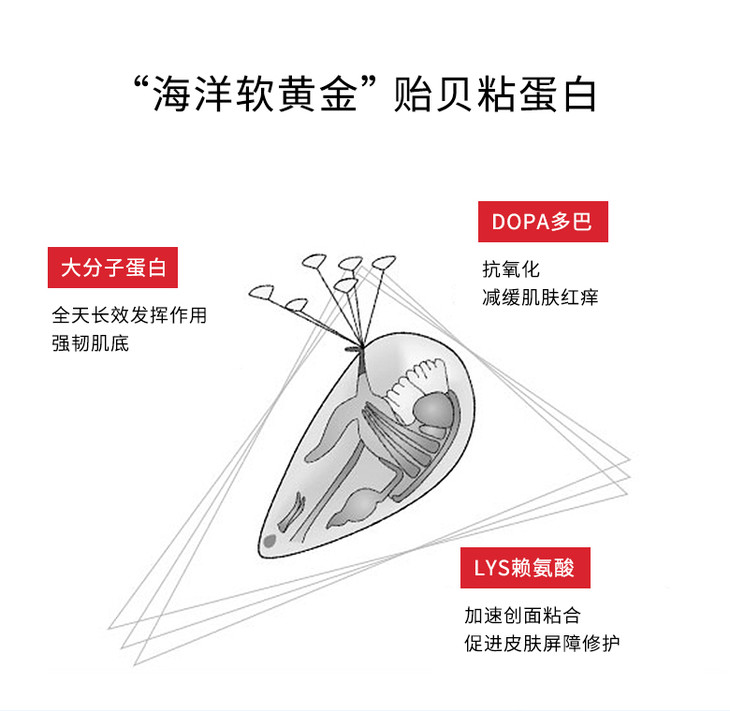 【重磅上新】贻贝粘蛋白修复油*液体敷料*美白巩固*舒缓急救*深层滋