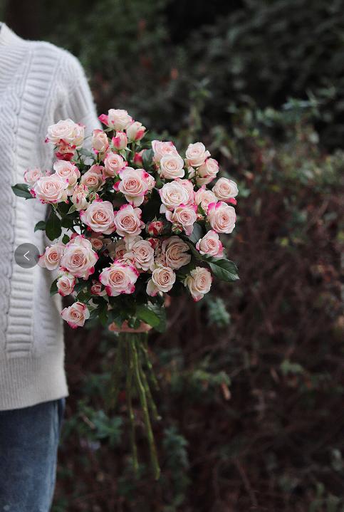 【周四秒杀】A级折射泡泡多头玫瑰5支59.8元 商品图1