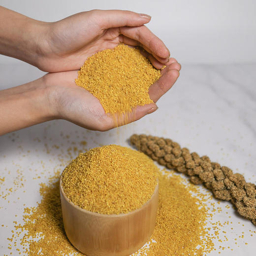 窑洞小米 | 陕北 商品图3