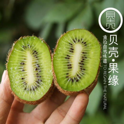 绿蜜猕猴桃 商品图2