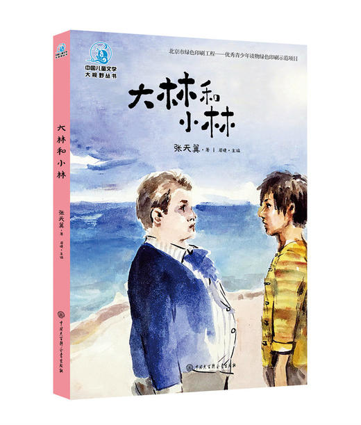 中国儿童文学大视野丛书——大林和小林 商品图0
