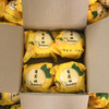 【汁水炮弹】黄金葡萄柚 清甜爆汁 柚香四溢 皮薄肉嫩 享受多汁秘诀 商品缩略图5
