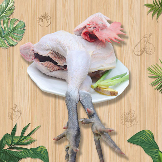 黑凤凰 散养土鸡 商品图2