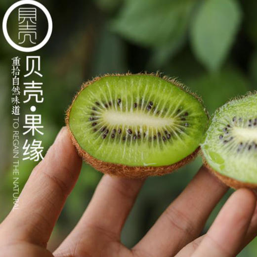 绿蜜猕猴桃 商品图3