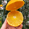 【果汁瀑布】爱媛38号 网红果冻橙 Q弹爽滑 可以直接喝的橙子 皮薄如橘 无籽化渣 顺丰包邮 商品缩略图7