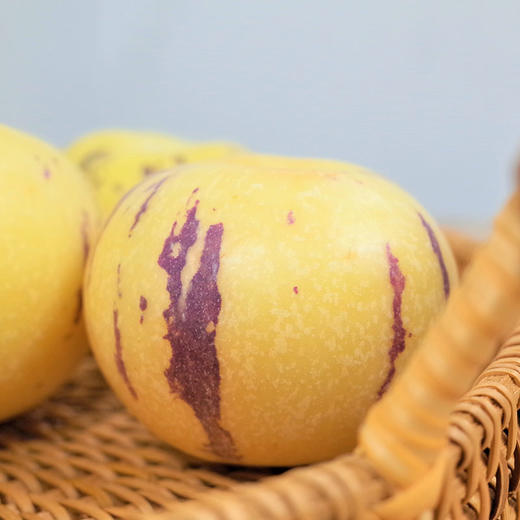 【神秘“大水球”】云南人参果 清甜解渴 无核饱满 享受低糖爆汁的魅力 商品图5