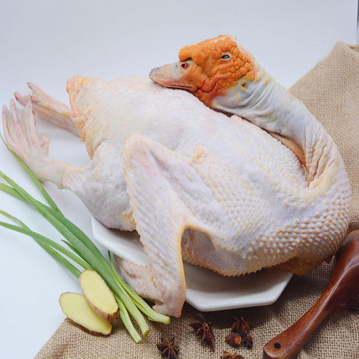 地标产品-黑番鸭 散养土母鸭 商品图2