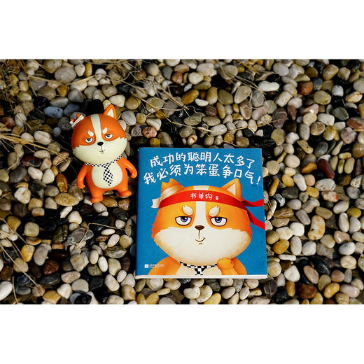成功的聪明人太多了，我必须为笨蛋争口气！（书单来了小编书单狗出书啦！解压神书，贱萌来袭！看书单狗为笨蛋争口气！）  商品图4
