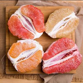 【乾隆贡品】琯溪四大名柚 现摘现发 肉质细腻 瓤肉少籽 清甜微酸 送礼自己吃都很棒