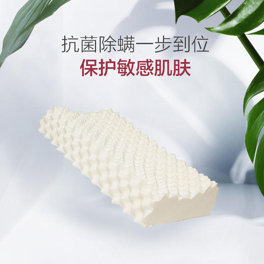 【家庭装/一对装】一默泰国进口天然乳胶乳胶枕成人榴莲型乳胶枕 贴合颈椎 护颈枕 商品图3
