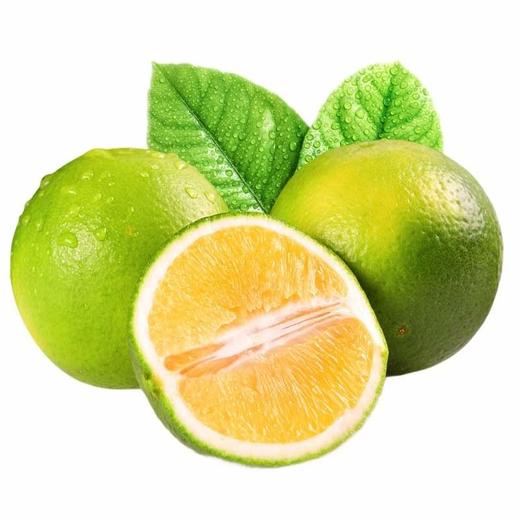 2020云南实建冰糖褚橙 商品图2