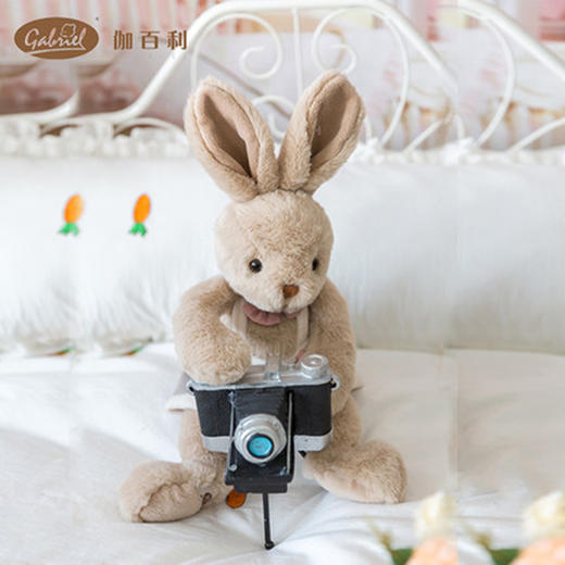 Gabriel宾利30cm 商品图0