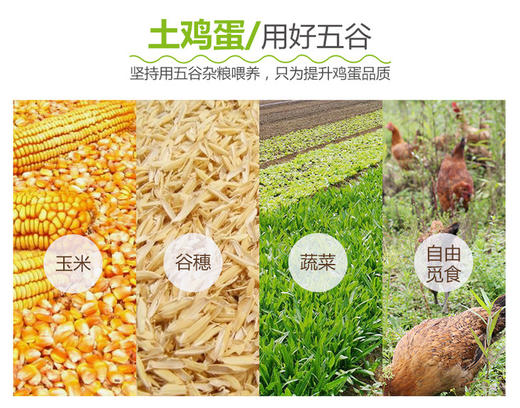 【美佳·惠生活】农家散养土鸡蛋30-60枚 吃五谷杂粮，山上自然放养，不打激素 商品图2