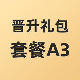 合伙人晋升礼包套餐A3