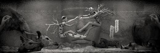 田晓磊 | 爱（版本：10版） 商品图0