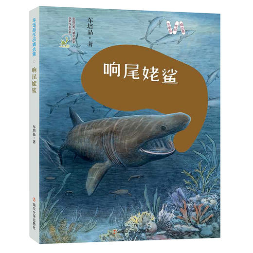 车培晶作品精选集 商品图7