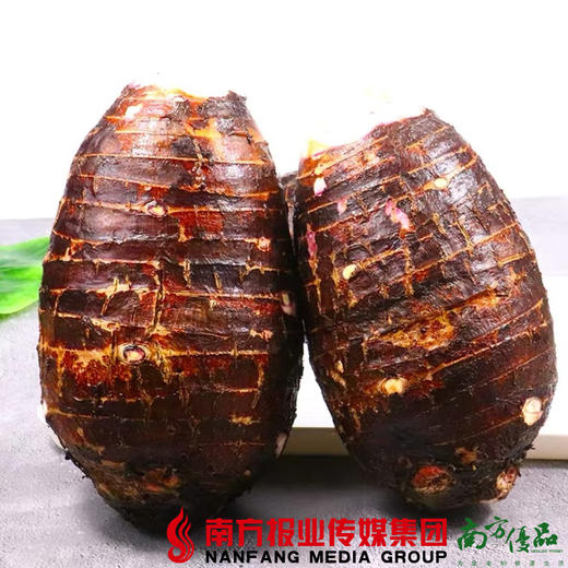 【珠三角包邮】炭步文岗芋头  3.5—4.5斤/个  （次日到货） 商品图3