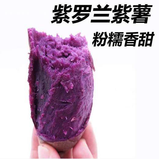 紫罗兰紫薯【5斤装】农家自种，现挖现发 商品图0