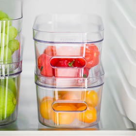 透明冰箱收纳盒 小号 0.6L 14.5x9.5x6 cm