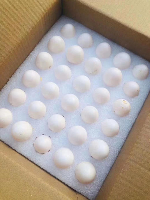 崇明生态鸽子蛋，五谷喂养的鸽子，绝对的放心 商品图1