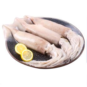 大鱿鱼1Kg  袋箱可选  批